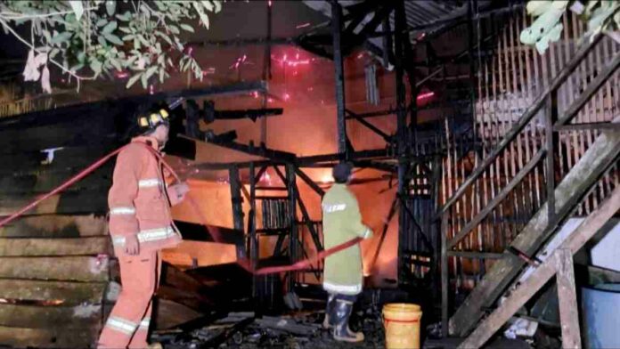 Kandang Peternakan Ayam Broiler