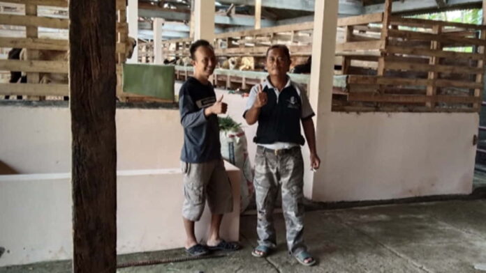 Peternak Domba dan Kambing di Ciamis