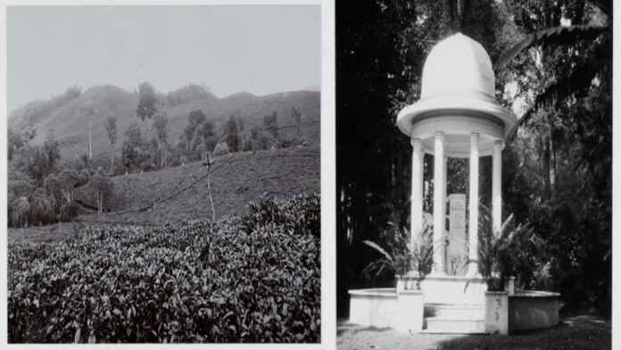 Sejarah Kebun Teh Malabar