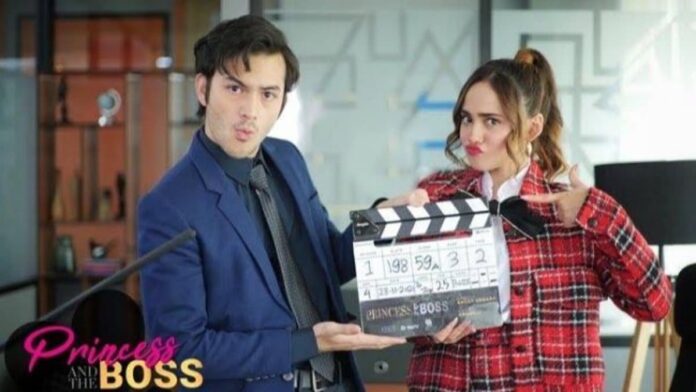 Sinopsis Princess and The Boss, Ada Syifa Hadju dan Rizky Nazar