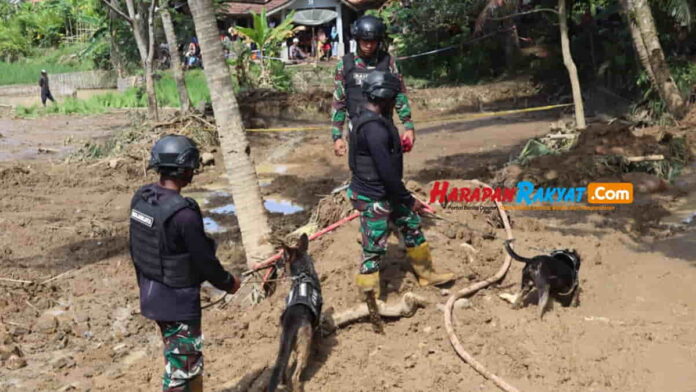 Anjing pelacak dalam proses pencarian korban tertimbun longsor di Garut