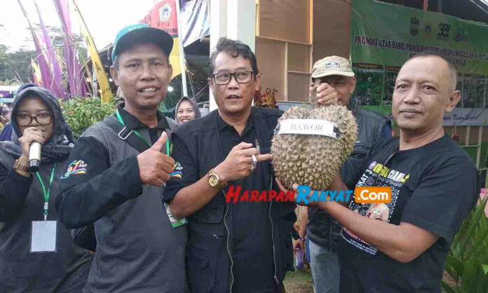 Durian Montong Jenis Bawor