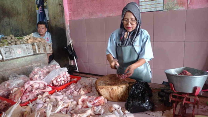 Harga Daging Ayam di Ciamis Mahal, Ketua Gopan Sebut Stok Dikuasai Peternak Raksasa