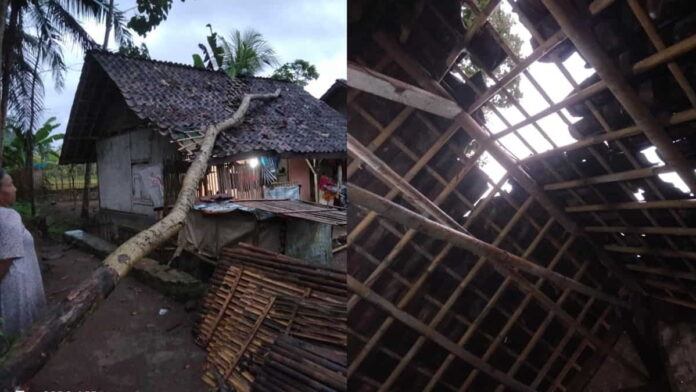 Rumah Warga di Kota Banjar Tertimpa Pohon Tumbang