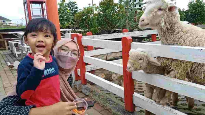 Saung Abah Apud Ciamis