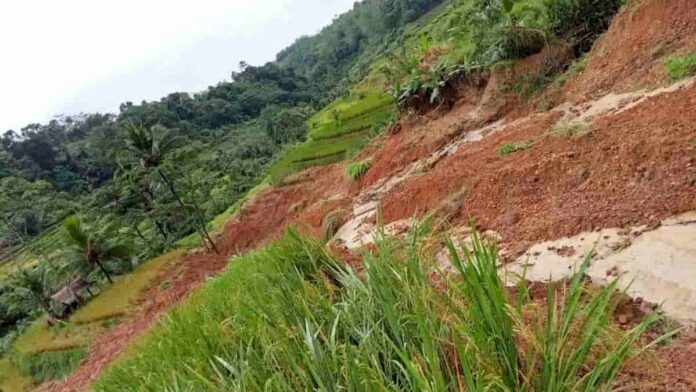 Sawah Terasering di Langkaplancar