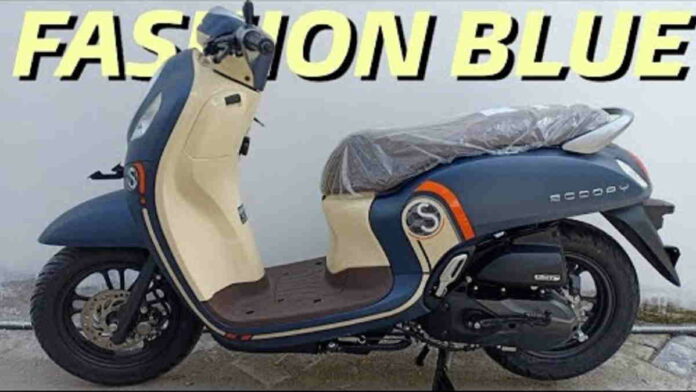 Scoopy Fashion Blue