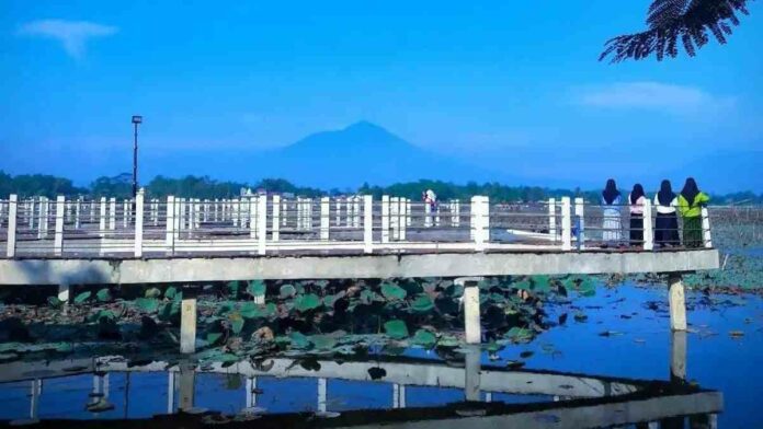 Situ Bagendit Garut
