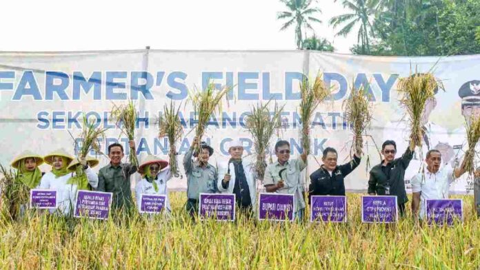 Generasi muda petani milenial