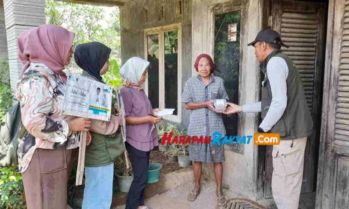 sapi untuk kurban
