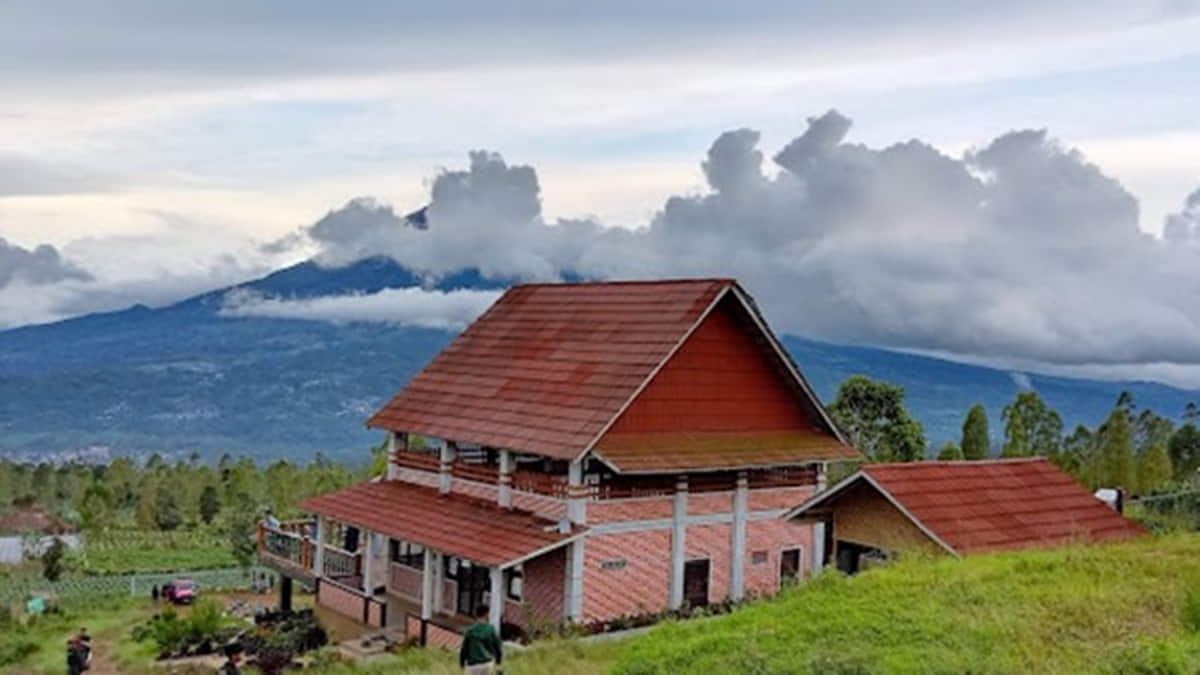 Agrowisata Tepas Papandayan Garut