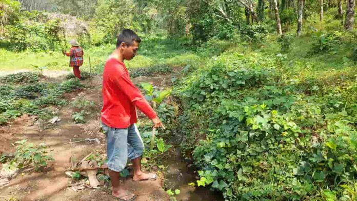 Musim kemarau Melanda