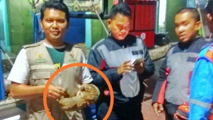 Gardu listrik meledak