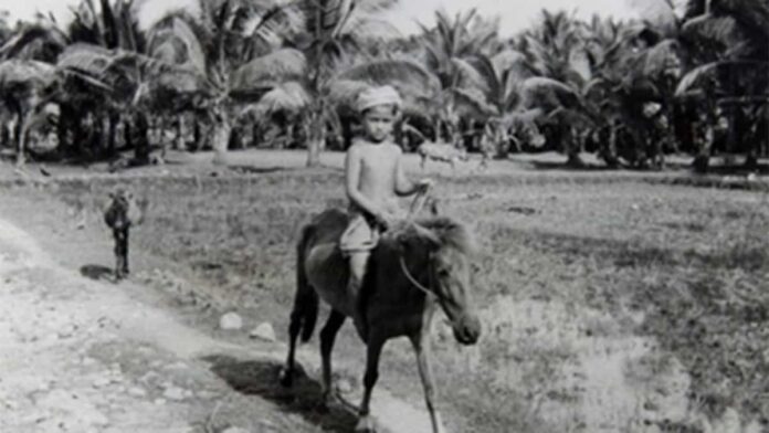 Industri kelapa kopra di Pangandaran