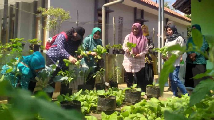 Kampung Iklim KLHK