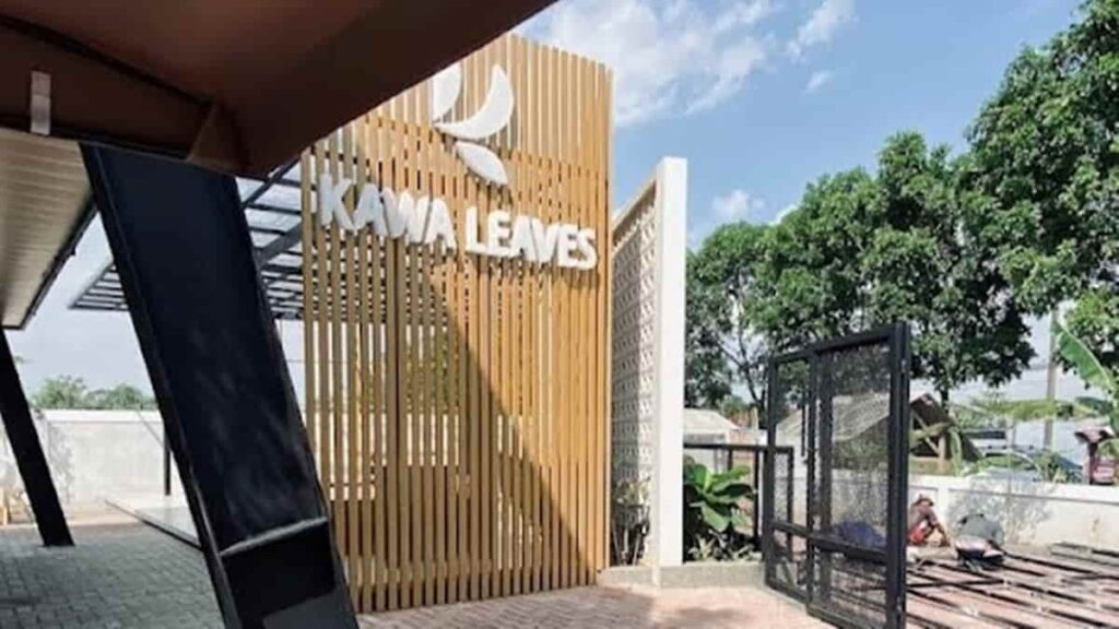 Kawa Leaves
