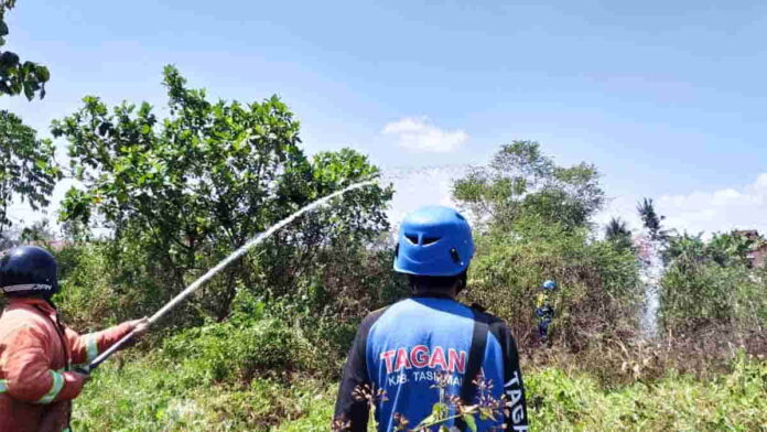 Lahan kosong
