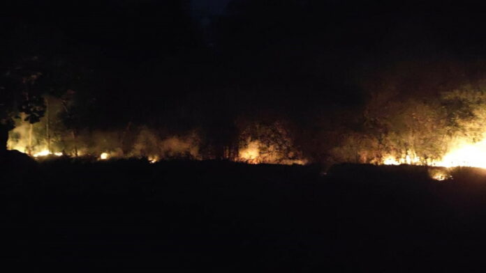 Kebakaran lahan bambu di Garut