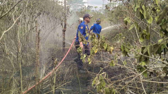 Kebakaran Lahan Terjadi Lagi di Kota Banjar