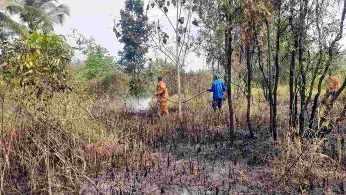 Kebakaran Lahan di Kota Banjar Kembali Terjadi
