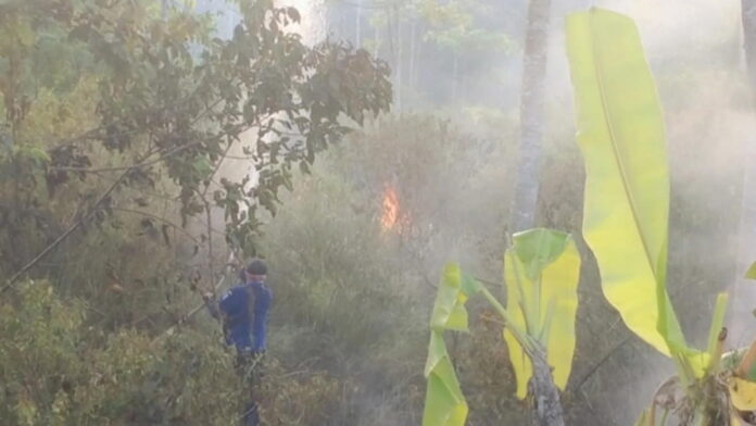 Pembakaran Sampah Warga