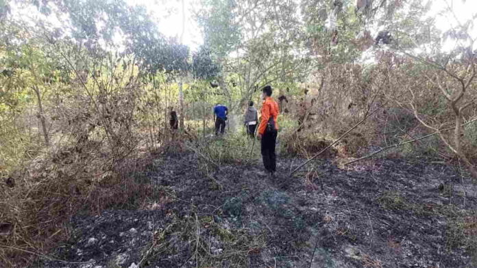 Lahan Milik PLN