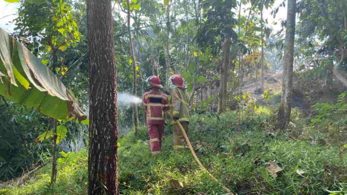 Lahan Perkebunan di Banjaranyar Ciamis Terbakar, Warga Panik