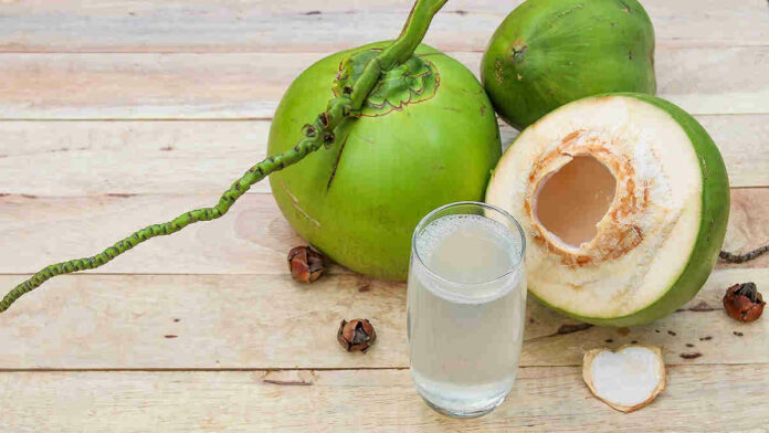 Manfaat Rebusan Air Kelapa dan Jahe