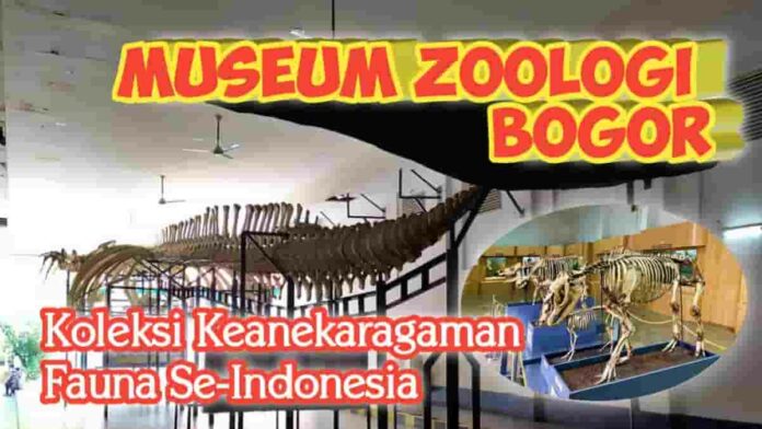 Museum Zoologi Bogor
