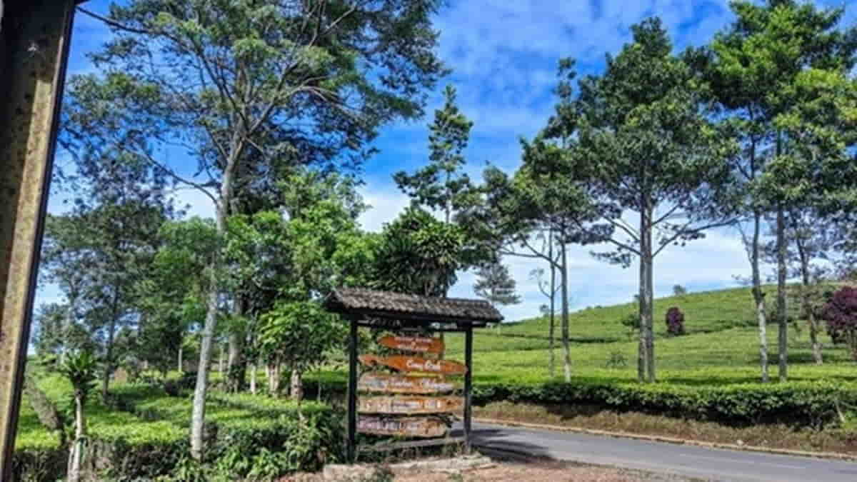 Perjalanan ke Curug Orok Garut