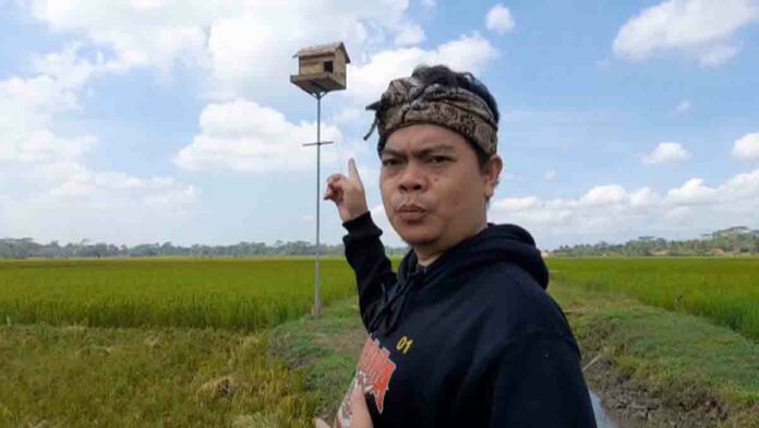 Rumah Burung Hantu
