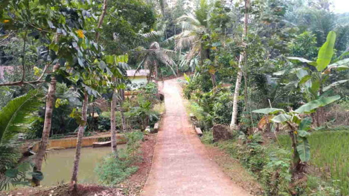 Tagih Janji