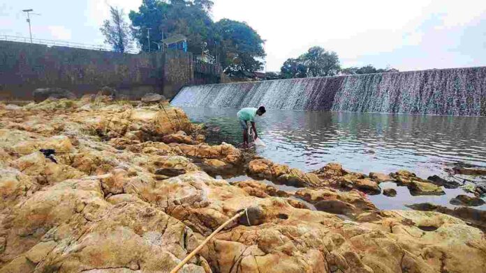 Debit sungai Citanduy menyusut