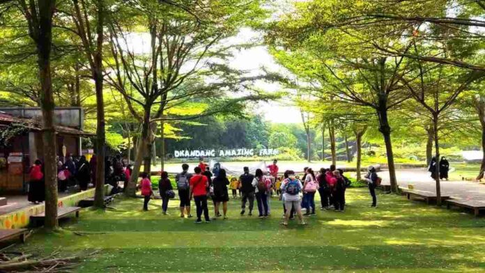 D'Kandang Amazing Farm Depok
