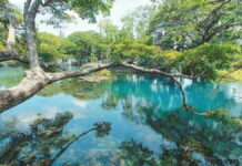 Danau Ronggojalu Probolinggo