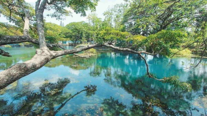 Danau Ronggojalu Probolinggo
