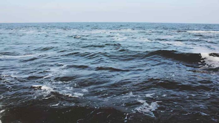 Gelombang Panas Laut