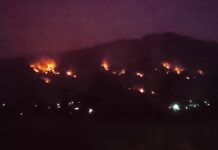Gunung Sadakeling di Garut Terbakar