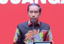Hadapi Krisis Pangan Global, Jokowi Tegaskan Visi Taktis Kedaulatan Pangan