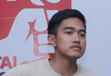 Kaesang Pangarep Safari Politik ke Markas Pendukung Jokowi untuk Menangkan PSI