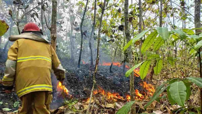 Lahan Perkebunan Warga di Banjaranyar
