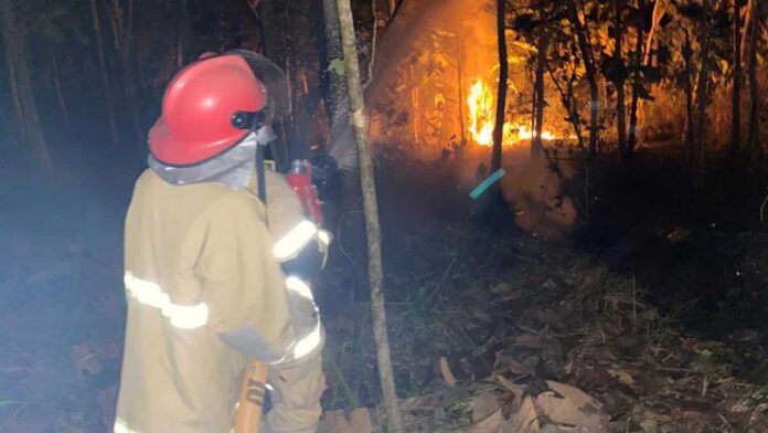 Lahan Seluas 2 Hektar Terbakar