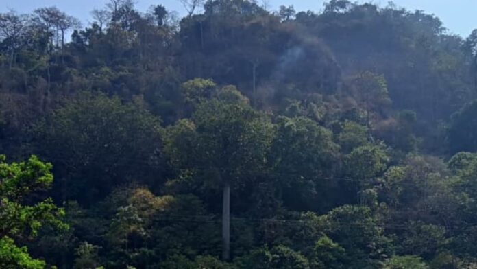 kebakaran lahan Gunung Jayanti Kabupaten Sukabumi