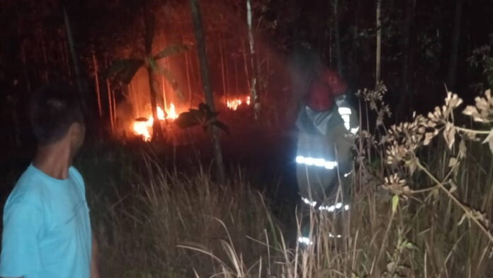 Kebakaran Lahan di Banjaranyar Ciamis