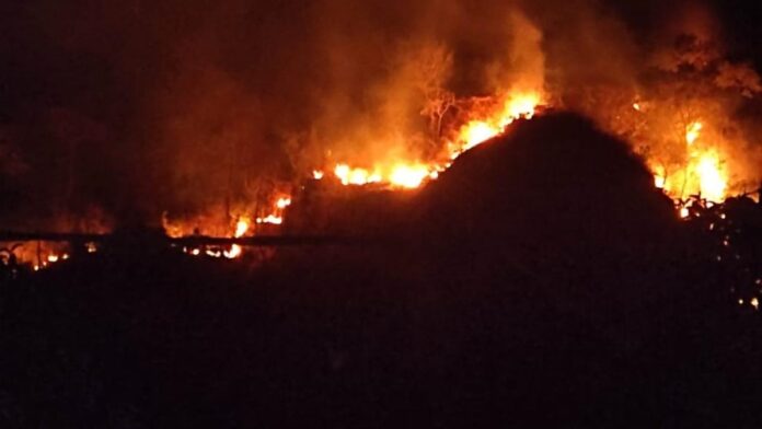 kebakaran lahan Gunung Jayanti