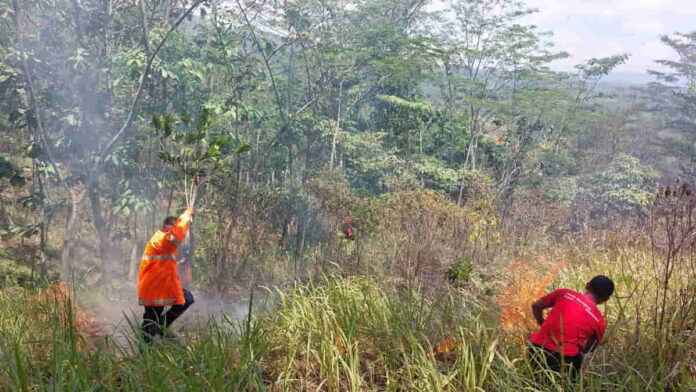 Kebakaran lahan di sekitar Lapas Kota Banjar