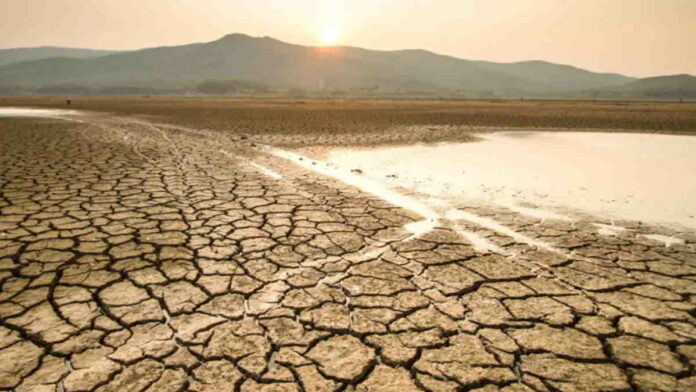 Kementerian Pertanian Diminta Solusi Hadapi Musim Kering El Nino