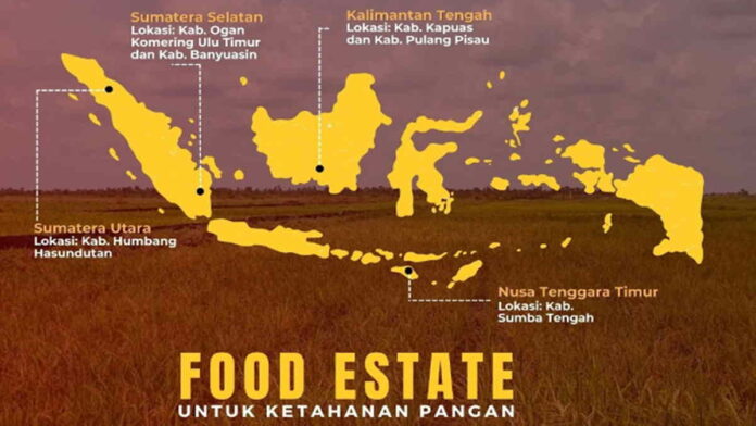 Komisi VI DPR RI Usulkan Proyek Food Estate Diambil Alih BUMN
