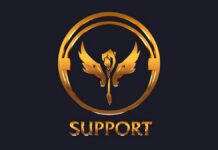 Cara Menjadi Pemain Support Terbaik