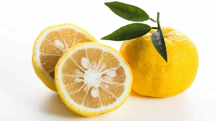 Manfaat Buah Yuzu